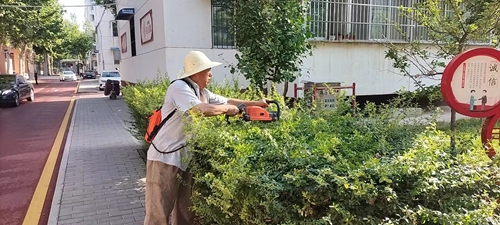 西北一棉: 公司开展新一轮绿篱修剪工作